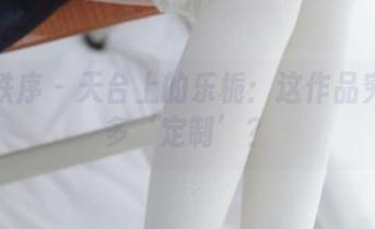 少女秩序 - 天台上的乐栀：这作品究竟有多‘定制’？