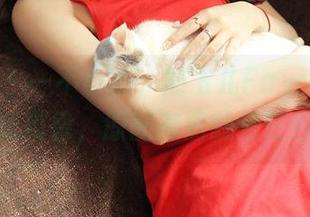 推女神 - 一不小心,刘飞儿Faye把奶牛当成魔兽,原图高清就是任性!